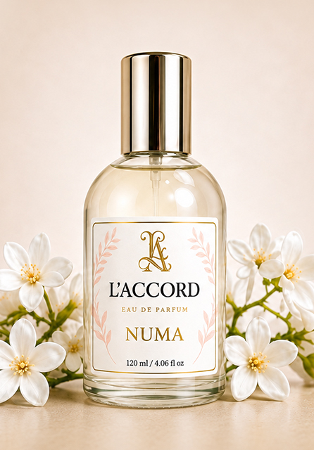 numa1v